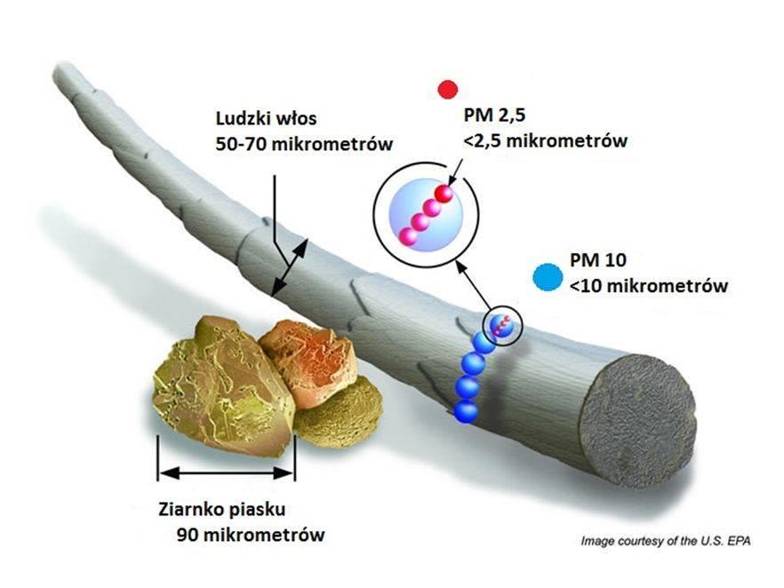 Wielkość pyłów PM2.5 i PM10 na tle włosa