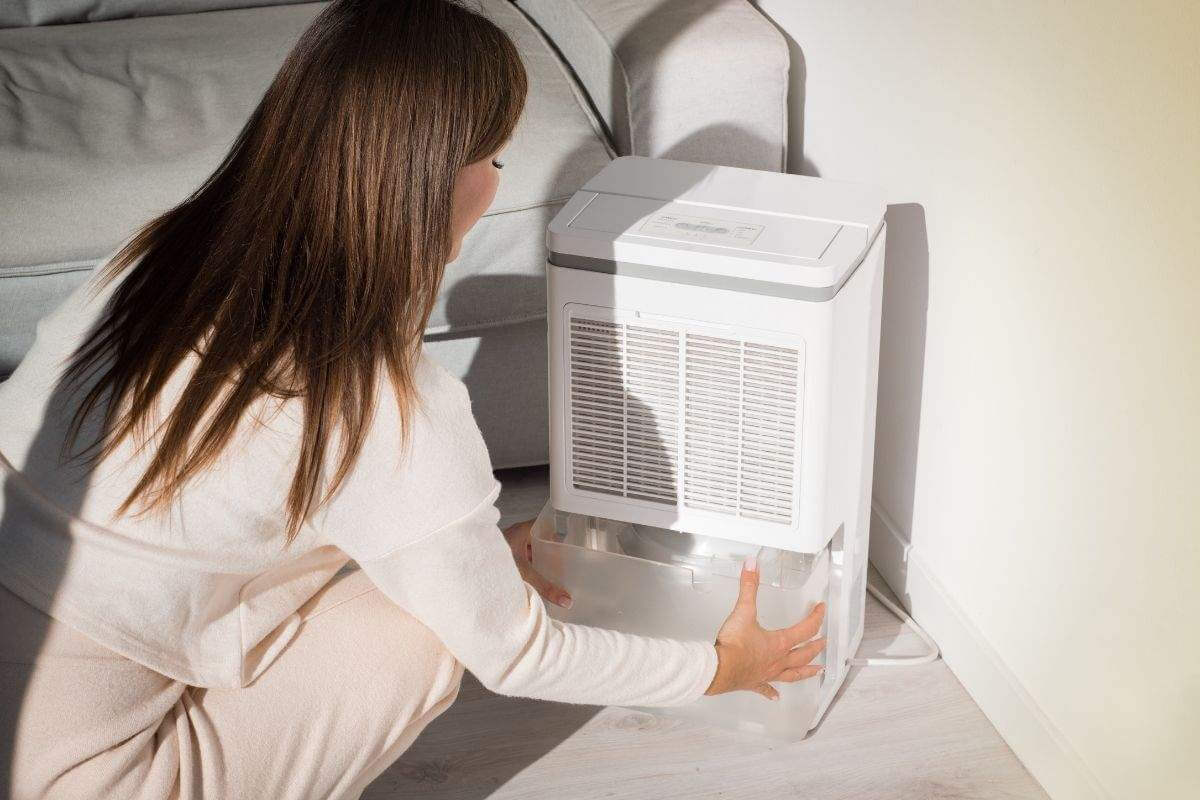 Osuszacz powietrza do mieszkania, do domu