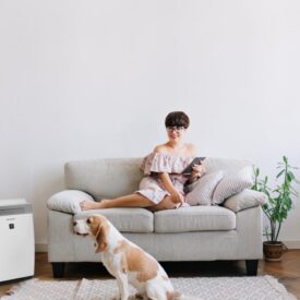 Oczyszczacz powietrza Sharp KI-G75EU obok kanapy, kobiety i psa