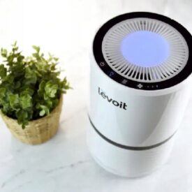 Levoit LV-H132 wraz z kwiatem widok z góry