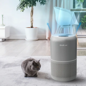 Levoit Core P350 Pet Care salon kot