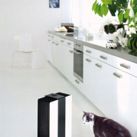 Stadler Form Robert w kolorze czarno-białym z kotem w tej samej kolorystyce