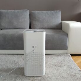 Xiaomi 3c tyłem w salonie