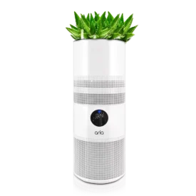 Mateko Aria przód z roślinami